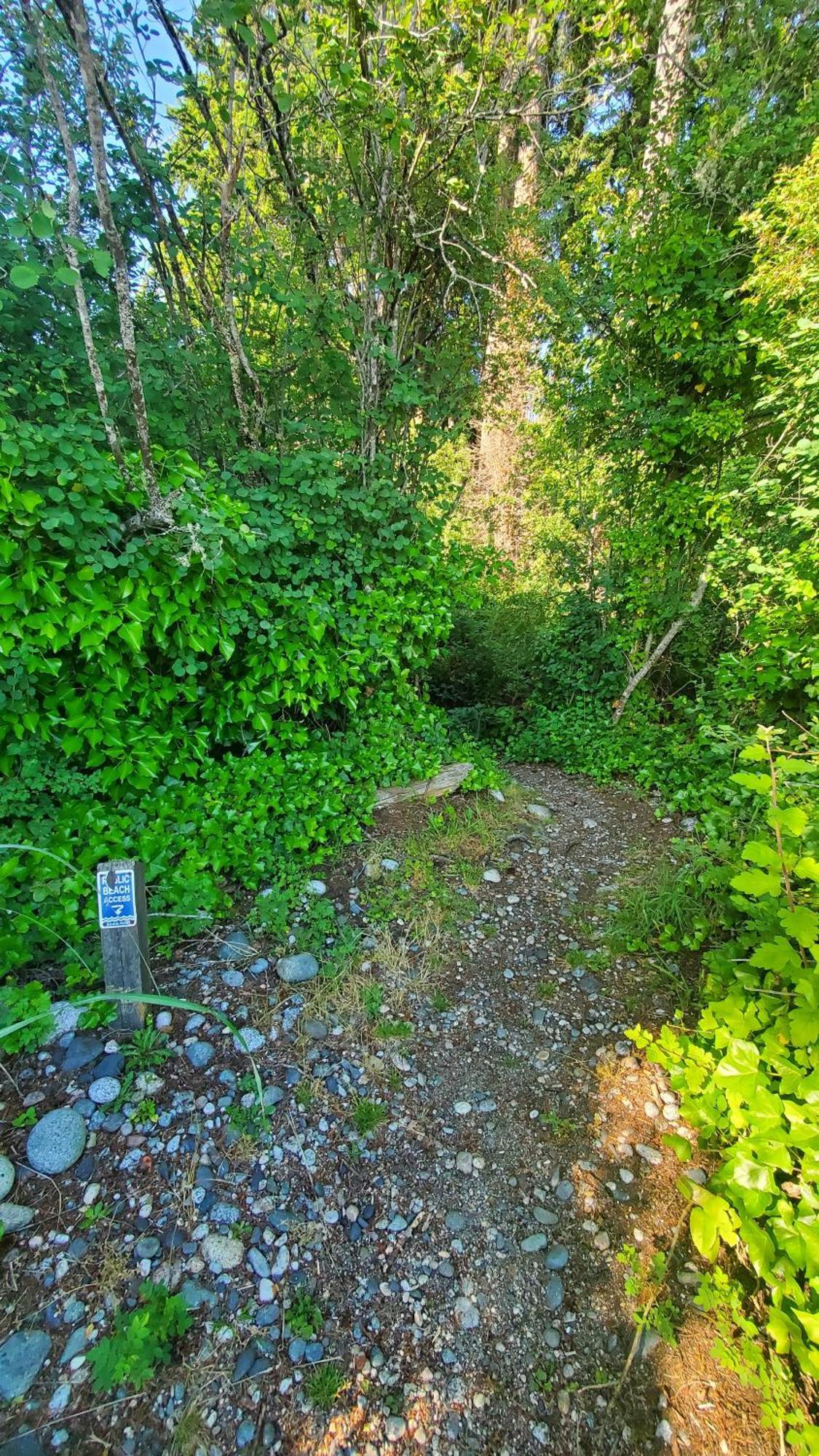 Villa Haven Touchstone à Roberts Creek Extérieur photo
